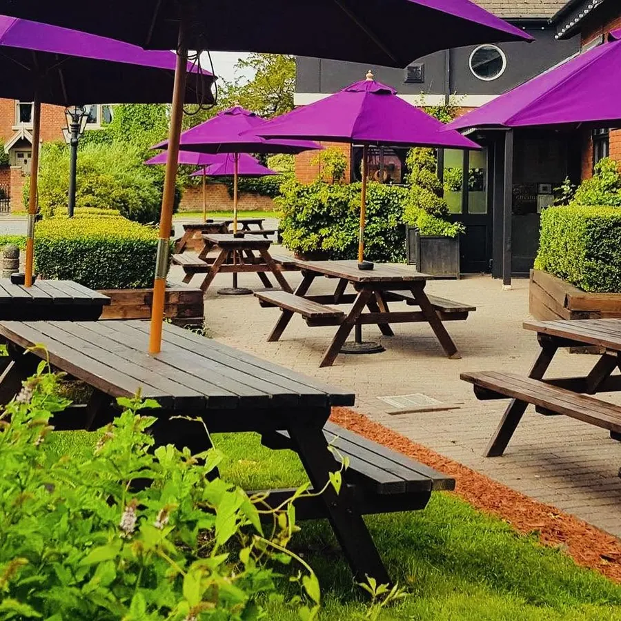 The beer garden with purple parasols