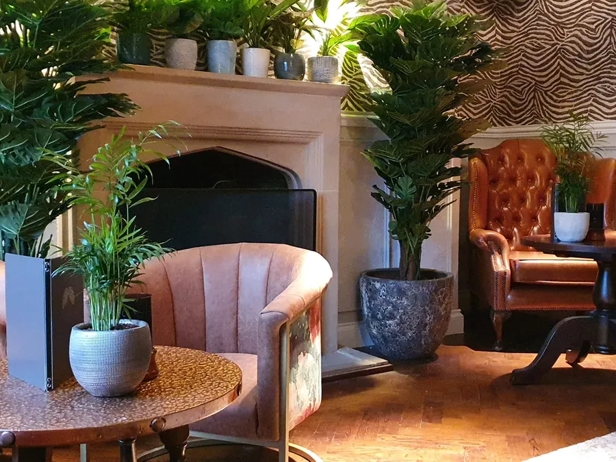 Velvet armchairs by the fireplace in the lounge