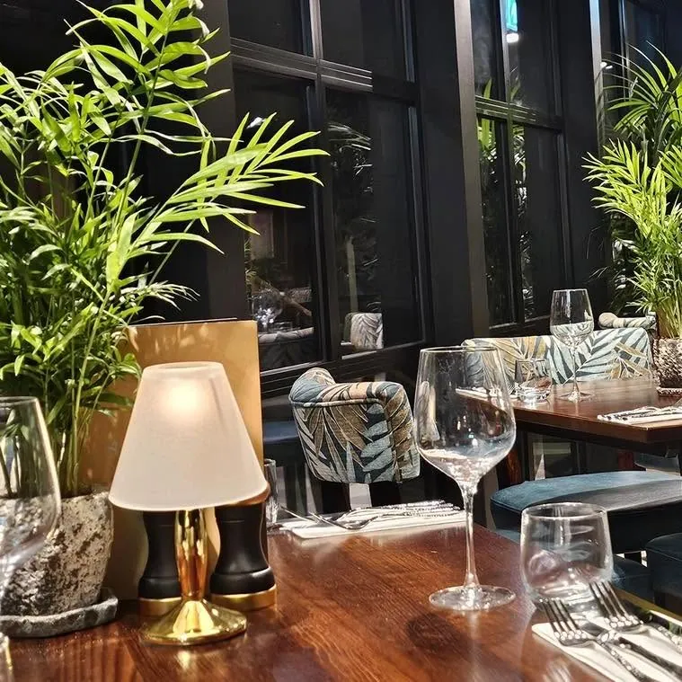 A table lamp and palms by the window