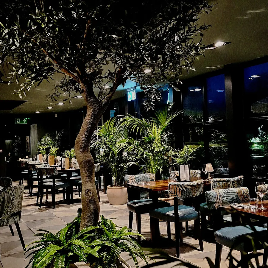 The olive tree and palms in the restaurant
